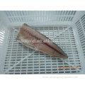 IQF Frozen Mackerel Fillet Bone Off PBO